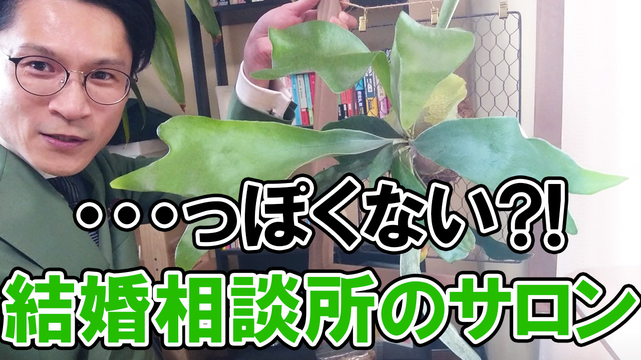 【2022年春】結婚相談所っぽくないサロン最新版