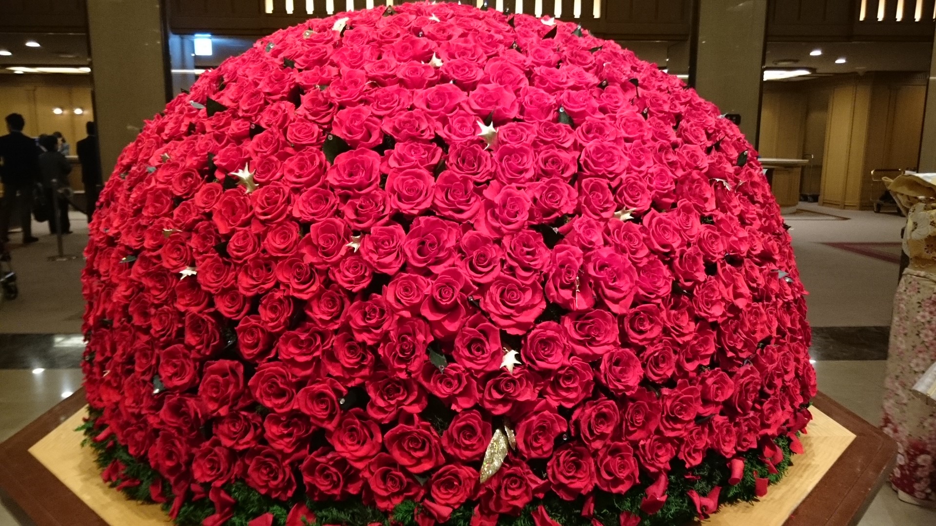 結婚はタイミング…by：妻目線(2024.8.28)