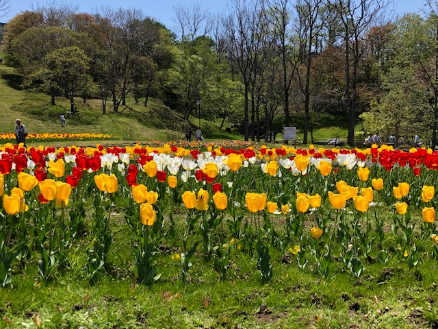 加藤諦三教授の著書「人を動かす心理学」について