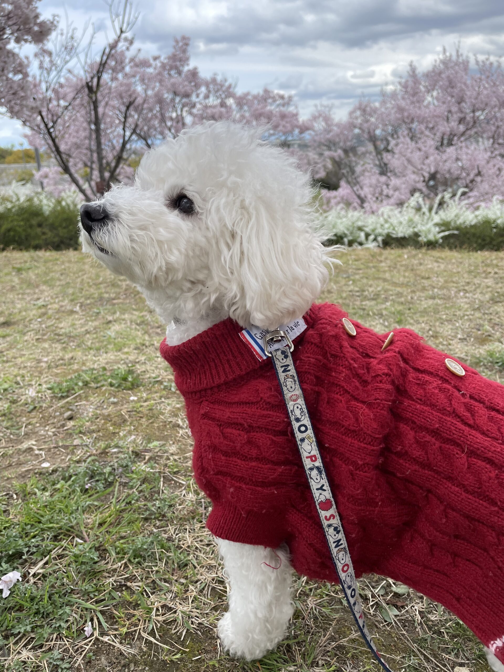 「今年こそ結婚する！」と毎年宣言しているあなたへ🙌