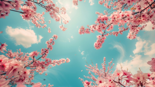 🌸4月、新たな出会いの季節！